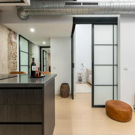 Apartment High Ceiling Gem In Heart Of Historic District