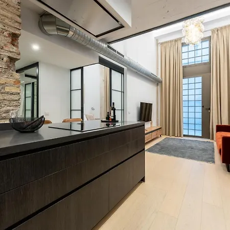 Apartment High Ceiling Gem In Heart Of Historic District
