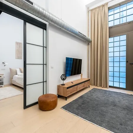 Apartment High Ceiling Gem In Heart Of Historic District Malaga